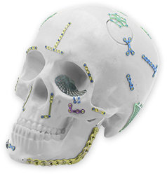 Placeholder Image