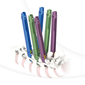 5.5 Minimally Invasive Pedicle Screw System