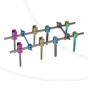 Spinal Pedicle Screw System (6.0mm System)