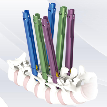 Minimally Invasive Pedicle Screw System